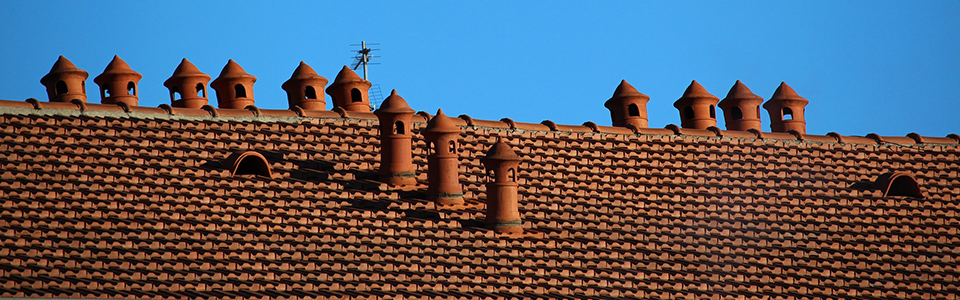 'Sorry That I Accidentally Removed Your Roof'