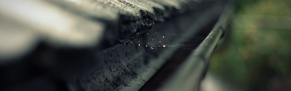 Tips For Cleaning Your Gutters