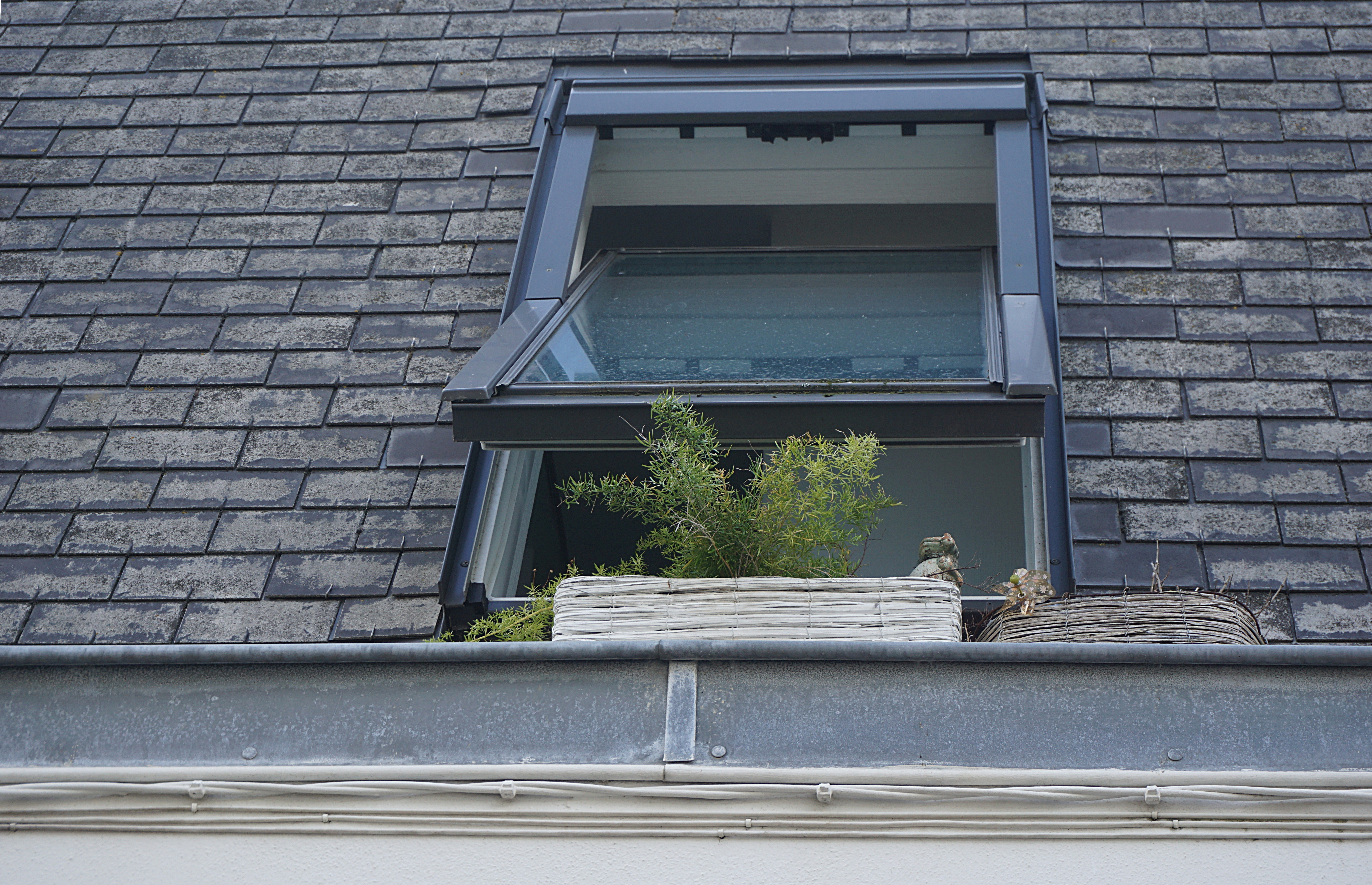 Local roofer