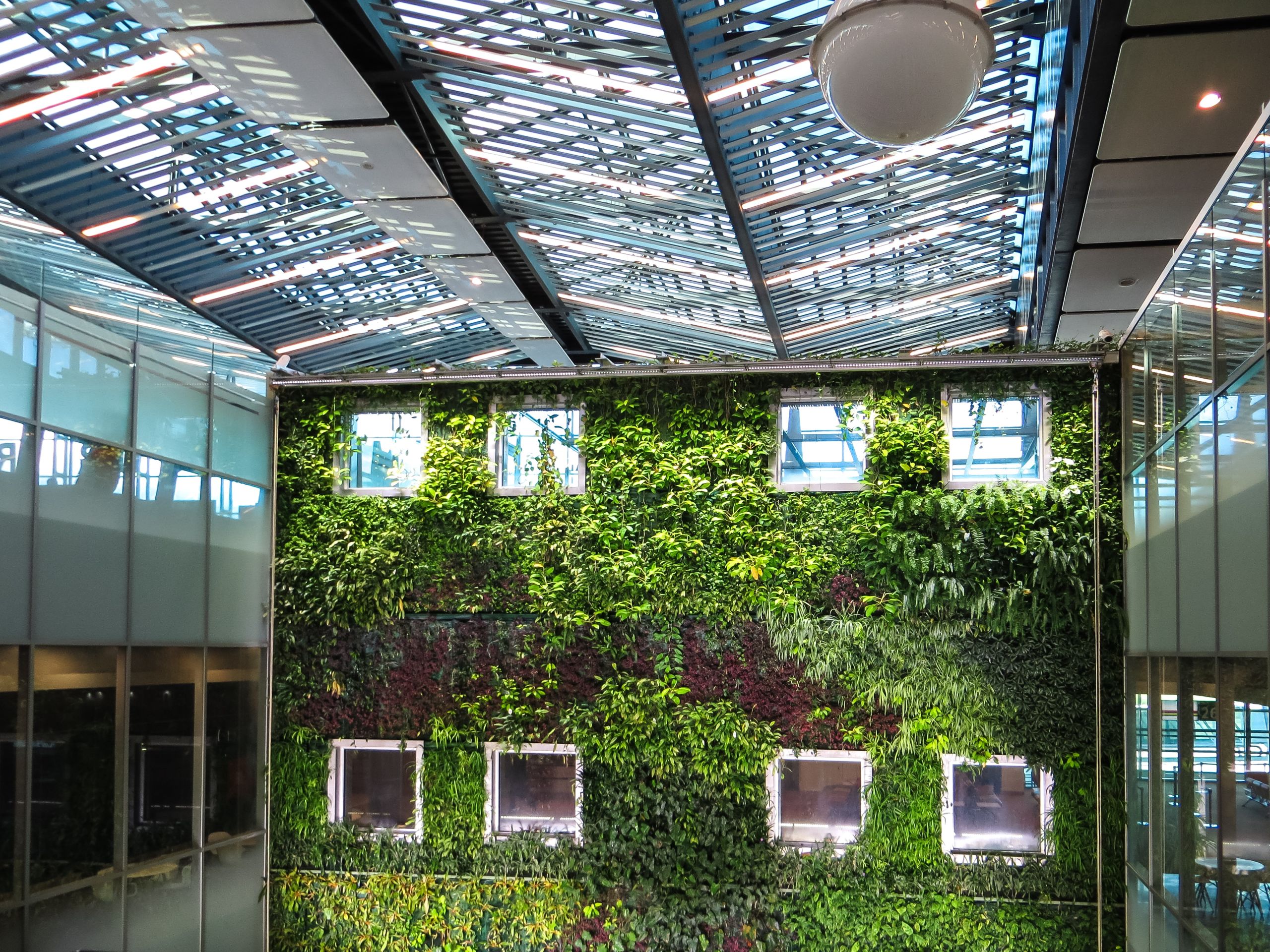 carbon-offset-how-can-roofing-companies-aid-businesses