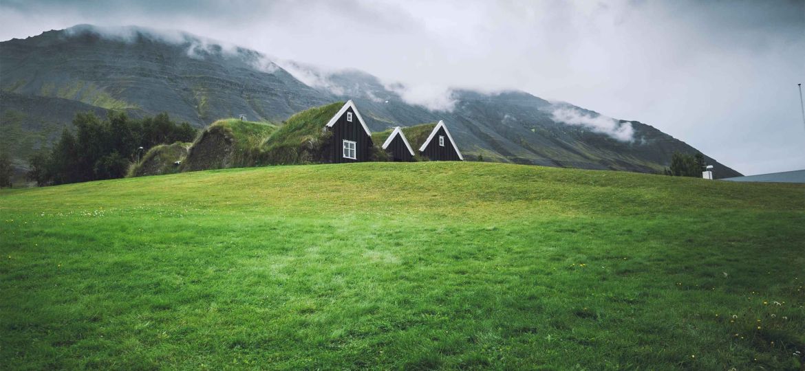 Green Roofing Installation and Repair